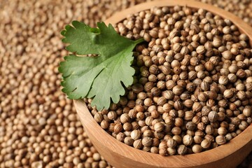 Bowl with dried coriander seeds and green leaf, closeup