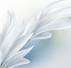 white lily flower, spring, plant, blossom, lily, bloom, petal, macro, beauty, flora, floral, summer, isolated, yellow, tulip