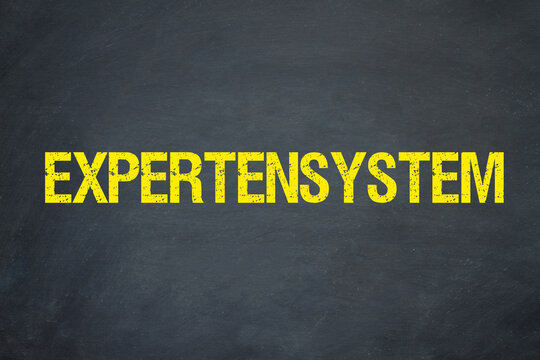 Expertensystem