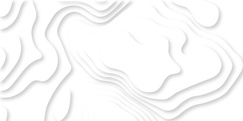 Luxury abstract lines Modern white carve wave line abstract luxury 3d papercut background. vector minimal topography map light element shadow landscape wave element curve graphic papercut design.