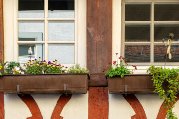two window boxes with flowers in them are on a building