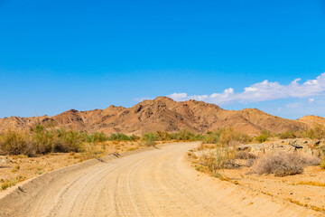 Arid landscape in the Richtersveld National Park