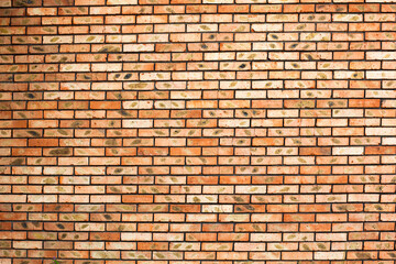 Fototapeta premium Brick wall