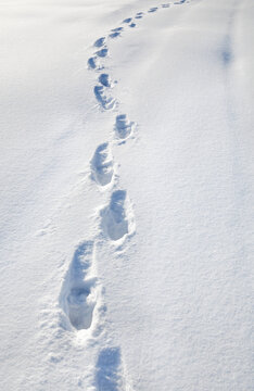 Footprints on the snow in winter.