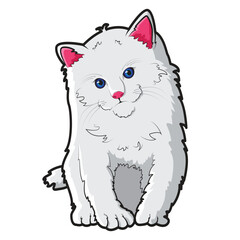 cute white kitten vector design