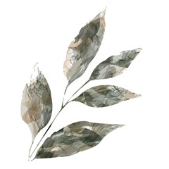 botanical coffee trea leaves seamless elements for pattern watercolor ink art sage grunge vintage style warm beige brown  colors	