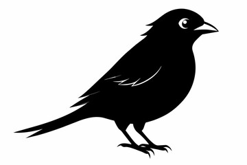 Sparrow Black Silhouette Vector,bird, animal, silhouette, vector, illustration, nature, birds, art, beak, wildlife, crow, cartoon, 