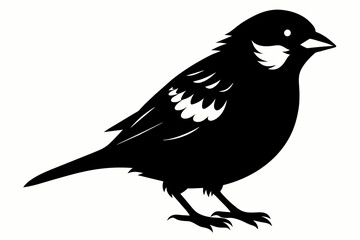 Sparrow Black Silhouette Vector,bird, animal, silhouette, vector, illustration, nature, birds, art, beak, wildlife, crow, cartoon, 