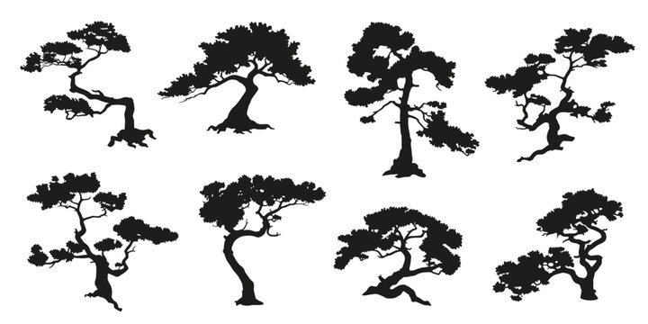 small pine tree silhouettes on a rock white background volume 1