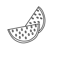Watermelon line icon