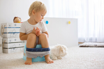 Blond toddler child, using potty at home, little pet maltese dog next to him