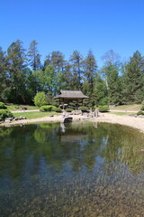 Obraz premium lake in the woods, U of A Botanic Gardens, Devon, Alberta