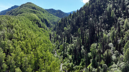 summer panoramic landscape of mountains and forest and waterfall against the sky in the area of ​​Lake Teletskoye in Altai