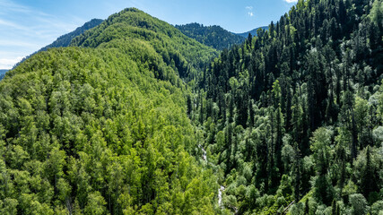 summer panoramic landscape of mountains and forest and waterfall against the sky in the area of ​​Lake Teletskoye in Altai