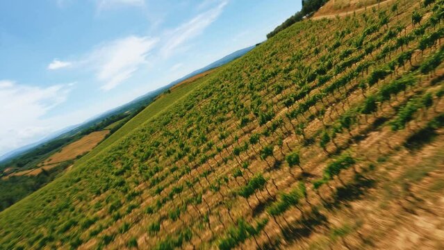 Paesaggio di campagna, vigneti e trattore