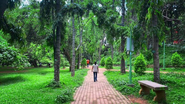 Young Indian woman walks along the path in the cubbon park in a white shirt and jeans in Bangalore, india
