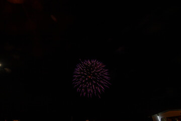 三河地方の花火