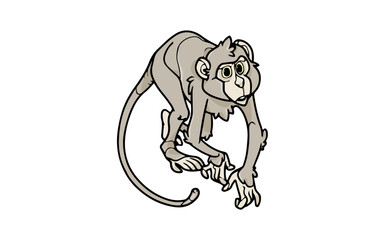 Adult Monkey Animal RG