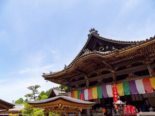 【奈良県】明日香村 岡寺 (2024/06/11撮影)