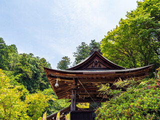 【奈良県】明日香村 岡寺 (2024/06/11撮影)
