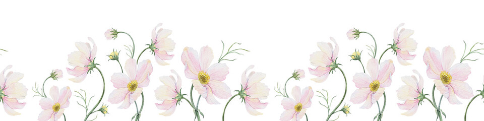 Cosmos flowers and leaves. Isolated hand drawn watercolor seamless border of pink wildflowers. Summer floral banner for wedding invitations, cards, packaging of goods