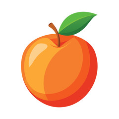 illustration of an Nectarine fruit