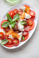 Plate of caprese salad with torn mozzarella, tomatoes and green basil, vertical shot on a light-beige stone surface, middle closeup