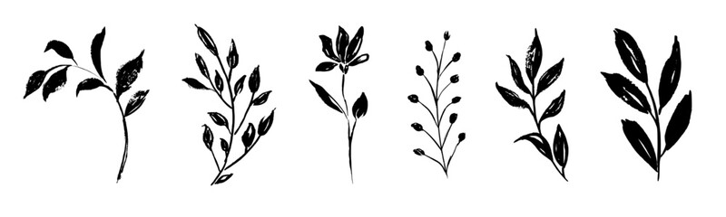Set of retro branches and leaves. Silhouettes of hand drawn artistic field herbs in black ink. Vintage botanical florals.