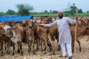 Young Indian Farmer and His Dairy Cows