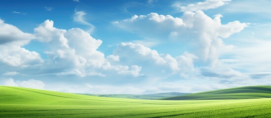 long shot for green landscape with sky. Creative banner. Copyspace image