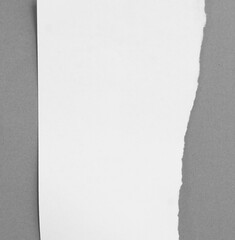 Design space torn paper textured background