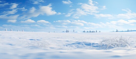 Obraz premium A Snow Covered Wheatfield in Winter. Creative banner. Copyspace image