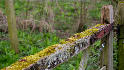 Moss and lichen covered old aged wooden gate in woodland of English rural countryside