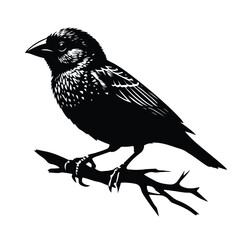 bird vector silhouette illustration