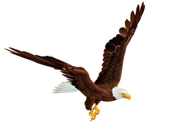 3D Rendering Eagle on White