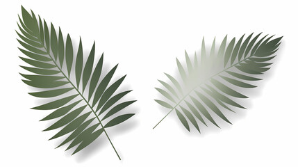 Obraz premium Realistic transparent shadow from a leaf of a palm tree on the white background. Tropical leaves shadow. Mockup with palm leaves shadow.