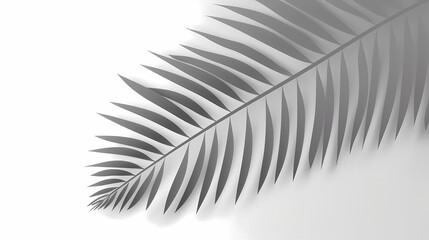 Realistic transparent shadow from a leaf of a palm tree on the white background. Tropical leaves shadow. Mockup with palm leaves shadow.