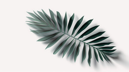 Obraz premium Realistic transparent shadow from a leaf of a palm tree on the white background. Tropical leaves shadow. Mockup with palm leaves shadow.