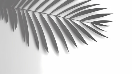 Fototapeta premium Realistic transparent shadow from a leaf of a palm tree on the white background. Tropical leaves shadow. Mockup with palm leaves shadow.