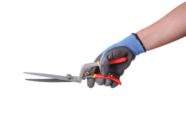 Garden scissors in hand with protective glove, isolated on white background
