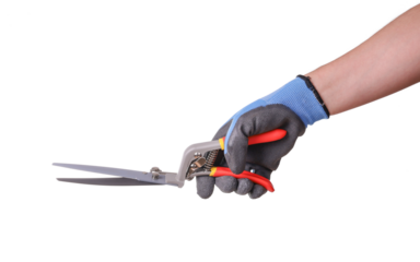 Garden scissors in hand with protective glove, isolated on white background