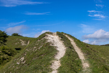 Chalk downland on Ditchling Beacon in Sussex, with a blue sky overhead