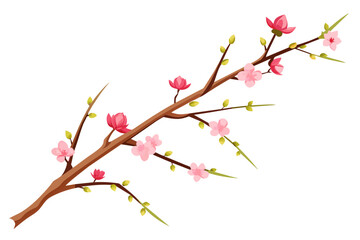 Very Thin Sakura Branch with Flowers in Buds,tree, branch, spring, flower, nature, blossom, cherry, vector, design, plant, floral, sakura, leaf, 