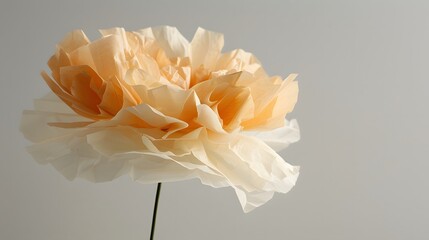 Obraz premium 紙で作られた花