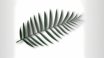 Realistic transparent shadow from a leaf of a palm tree on the white background. Tropical leaves shadow. Mockup with palm leaves shadow.