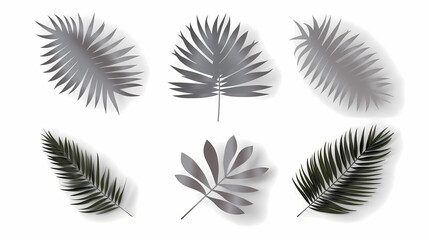 Fototapeta premium Realistic transparent shadow from a leaf of a palm tree on the white background. Tropical leaves shadow. Mockup with palm leaves shadow.