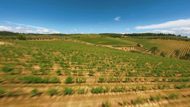 Vigneti campagna toscana