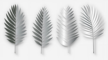 Fototapeta premium Realistic transparent shadow from a leaf of a palm tree on the white background. Tropical leaves shadow. Mockup with palm leaves shadow.