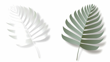 Realistic transparent shadow from a leaf of a palm tree on the white background. Tropical leaves shadow. Mockup with palm leaves shadow.