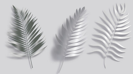 Naklejka premium Realistic transparent shadow from a leaf of a palm tree on the white background. Tropical leaves shadow. Mockup with palm leaves shadow.